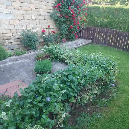 митровата къща Tatil Evi Raynovtsi