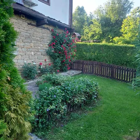 митровата къща