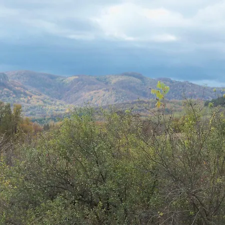 Holiday home митровата къща