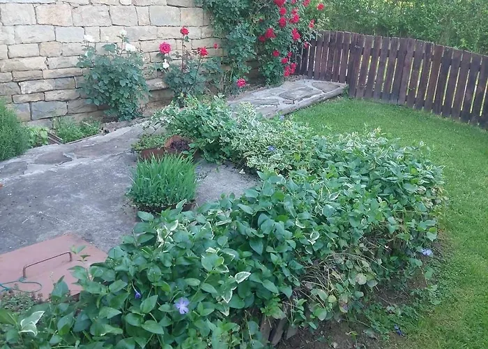 митровата къща Nyaraló Raynovtsi