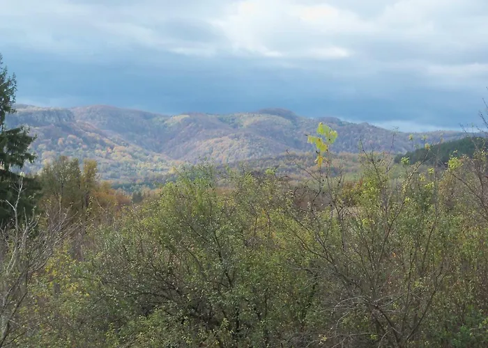 Nyaraló митровата къща