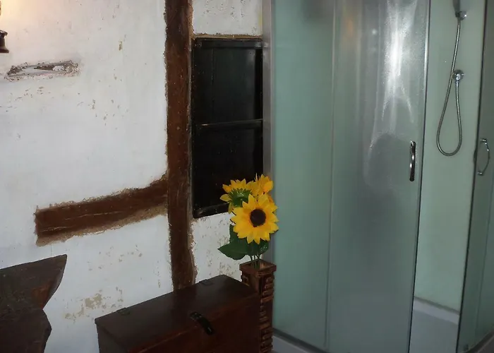 митровата къща Raynovtsi